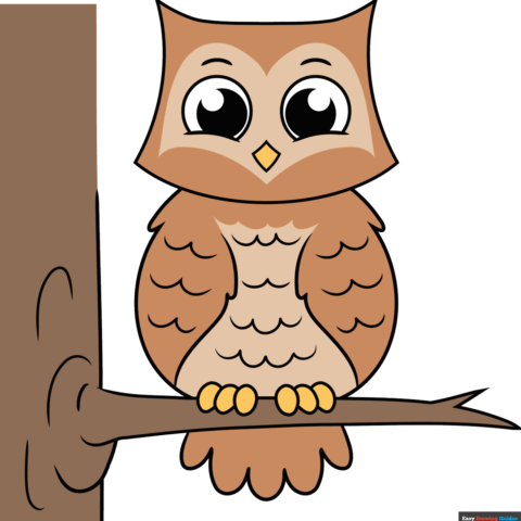 How to Draw an Easy Cartoon Owl Featured Image