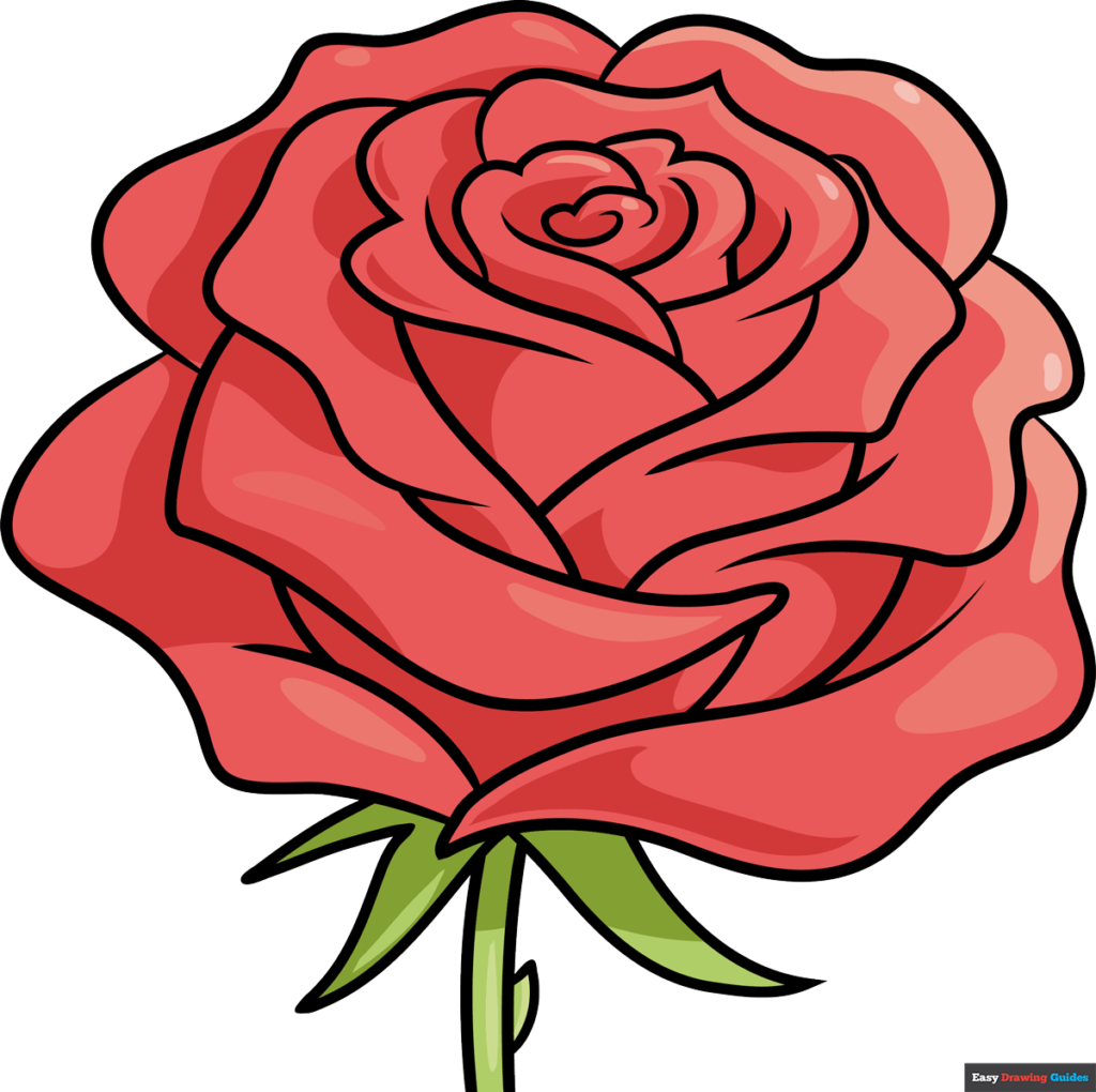 easy rose drawing