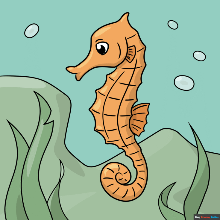 how to draw a seahorse featured image