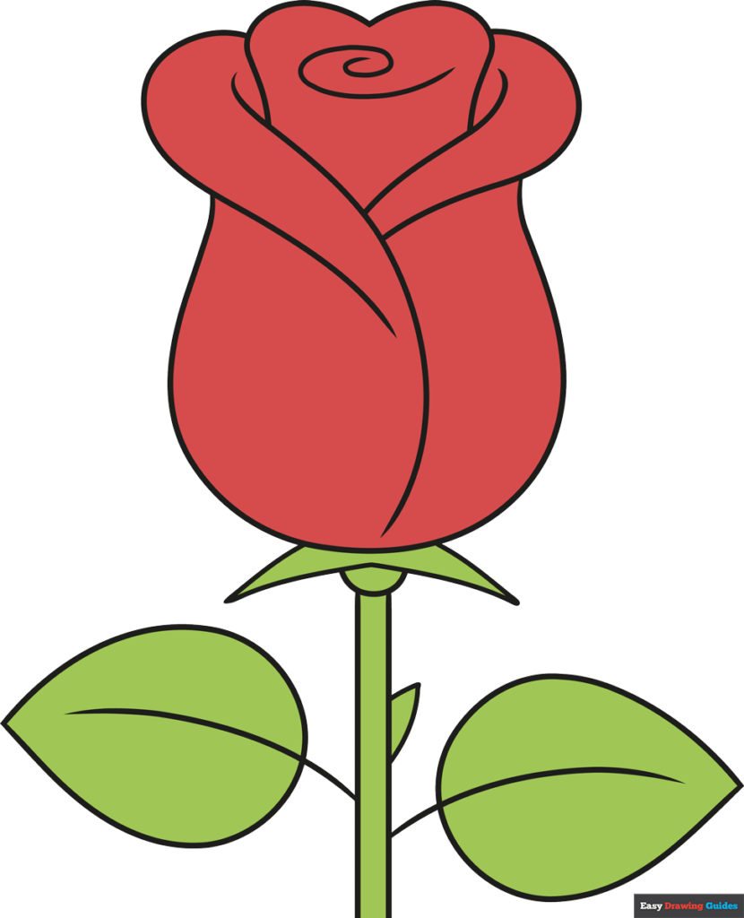 15 Easy Rose Drawing Ideas | Rose drawing simple, Cute doodles drawings, Easy  drawings