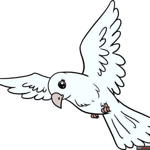 How to Draw a Bird Featured image