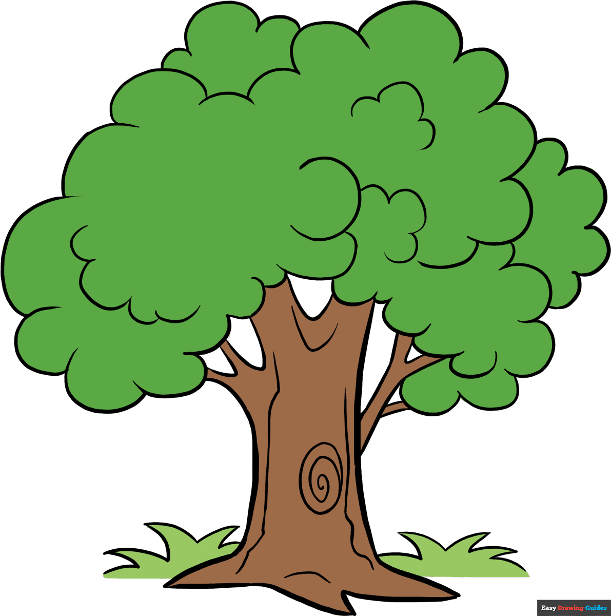 32 Easy Tree Drawing Tutorials