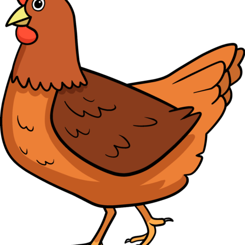 How to Draw a Chicken Featured Image