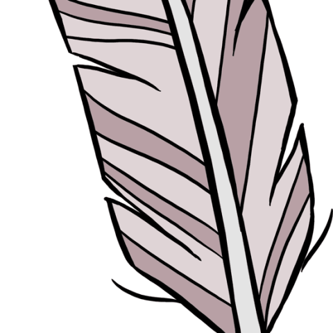 How to Draw a Feather Featured Image