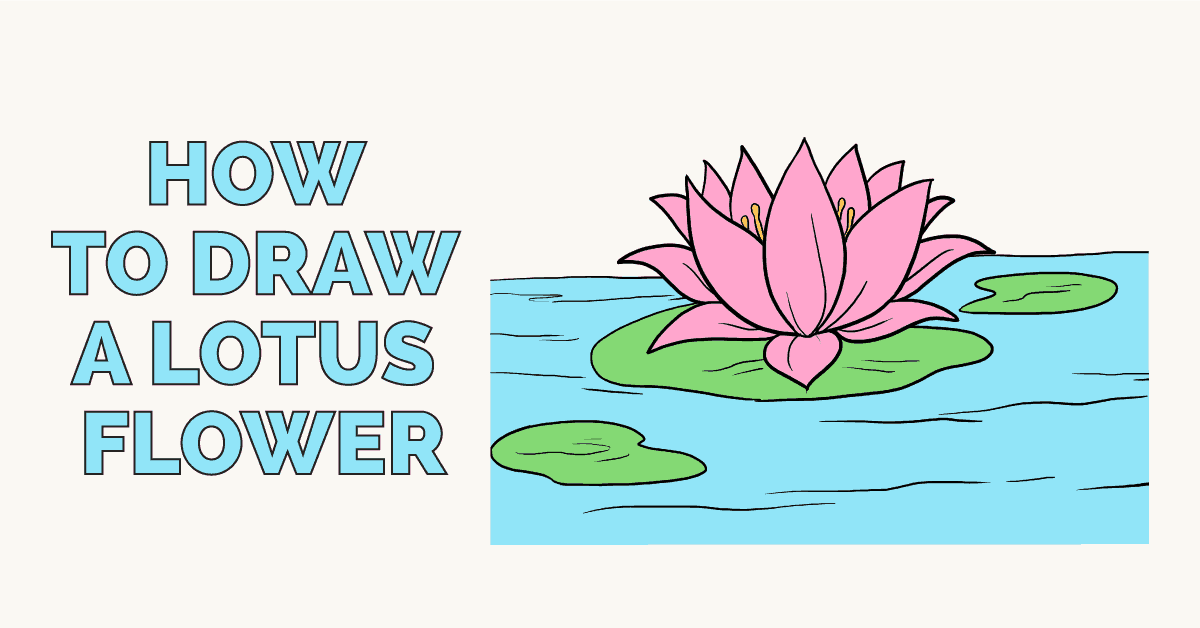 Lotus Flower How To Draw Draw Spaces