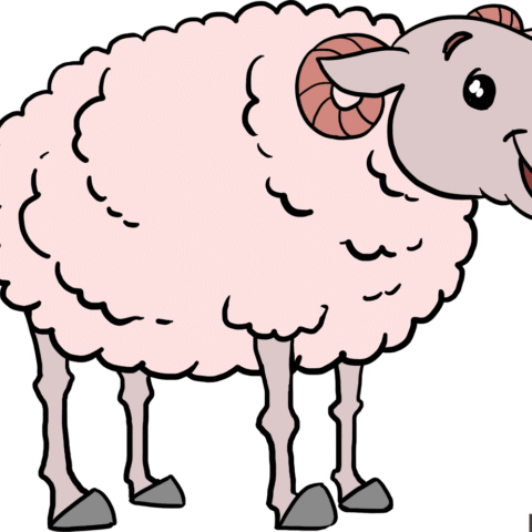 How to Draw a Sheep Featured image