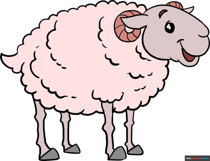 How to Draw a Sheep Featured image