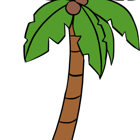 How to Draw a Palm Tree featured image