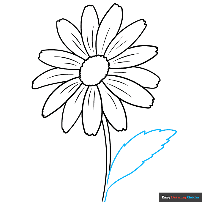 Step By Step Daisy Flower Drawing At Jennifer Hammes Blog