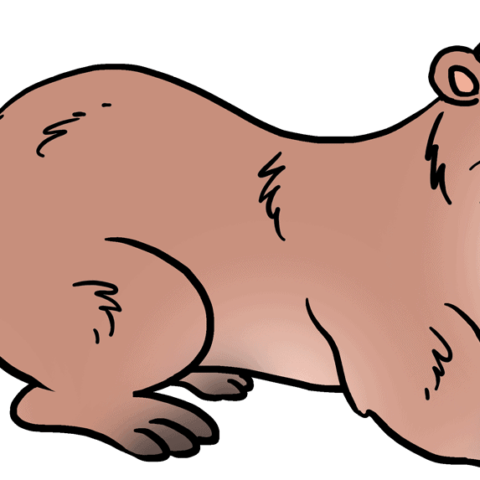 How to Draw an Otter Featured Image