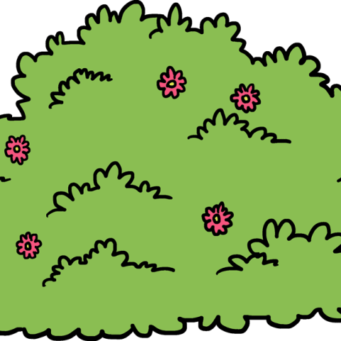 How to Draw a Bush Featured Image