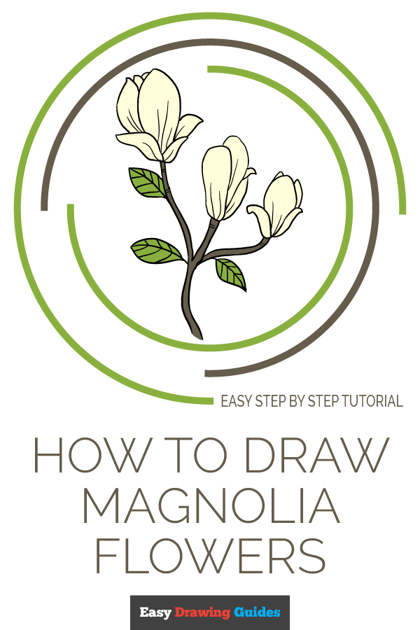 How to Draw a Magnolia Flower | Share to Pinterest