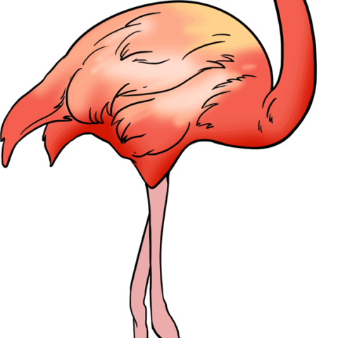 How to Draw a Flamingo Featured Image