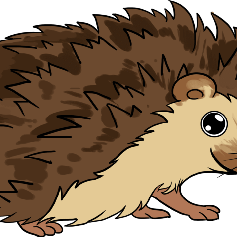 How to draw a Hedgehog featured image