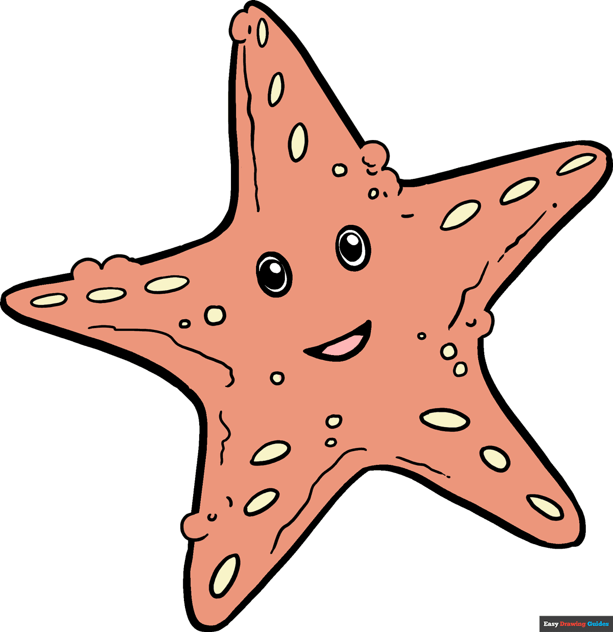 Starfish Drawing With Labels At Kimberly Knox Blog Starfish Drawing With Labels At Kimberly Knox Blog
