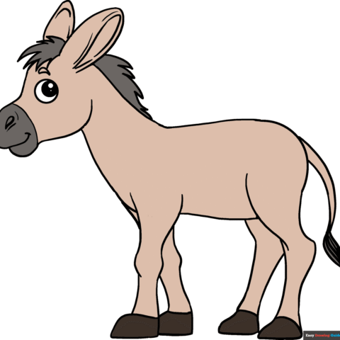 How to Draw a Donkey Featured Image