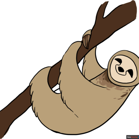 How to Draw a Sloth Featured Image