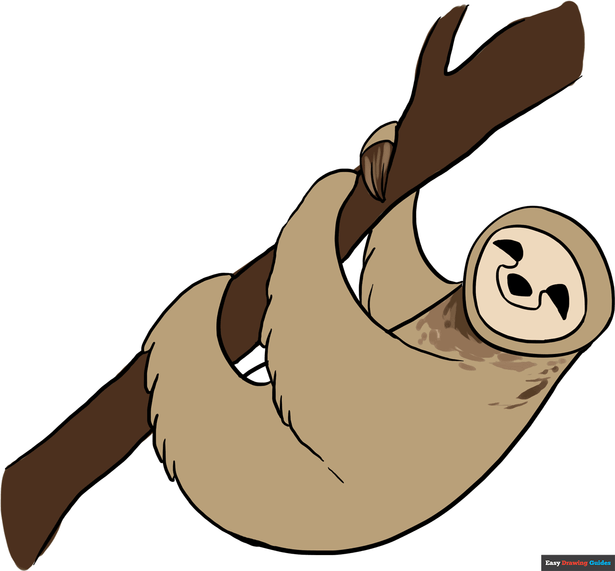 how to draw a sloth featured image 1200