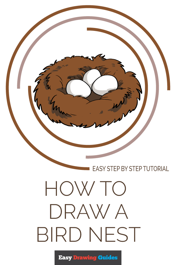 How to Draw a Bird Nest Really Easy Drawing Tutorial