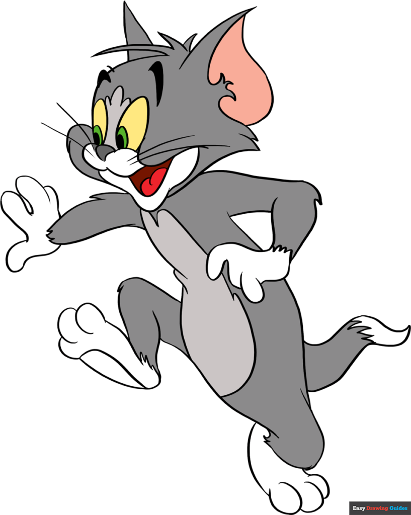 tom from tom and jerry cartoon