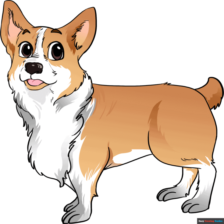 How to Draw a Corgi Featured Image