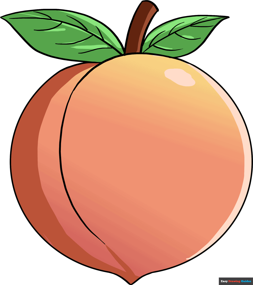 peach fruit drawing