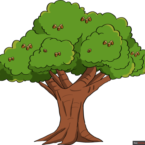 How to Draw an Oak Tree Featured Image