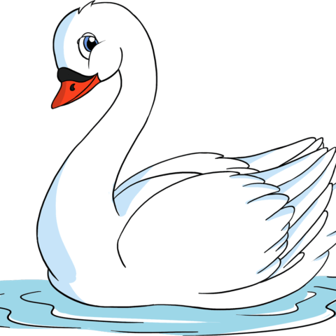 How to Draw a Swan Featured Image