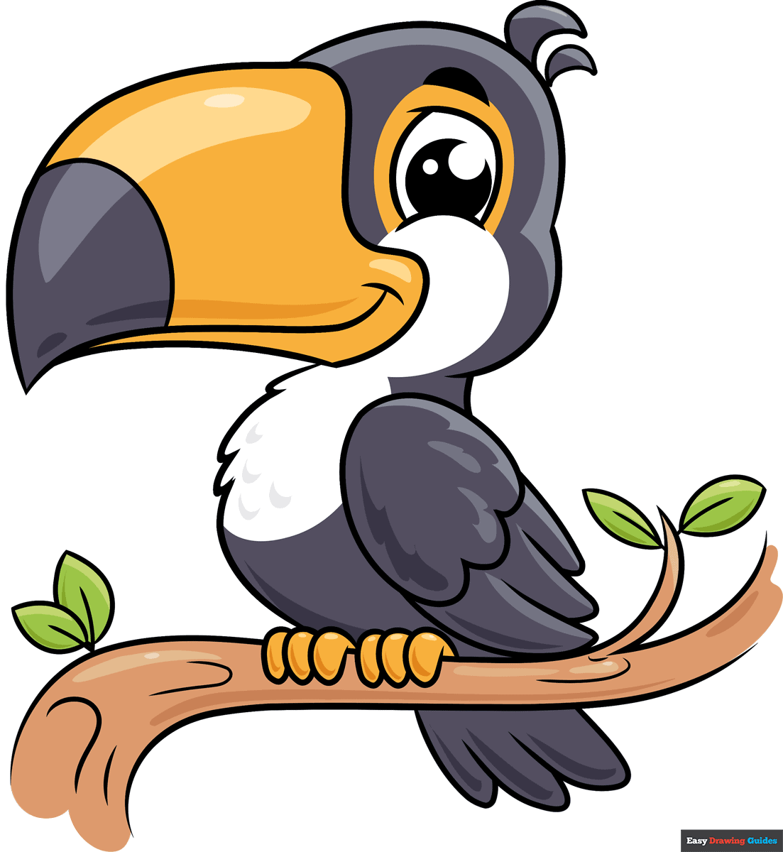 Toucan Drawing