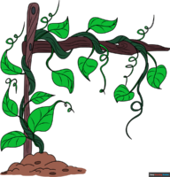 How to Draw Vines