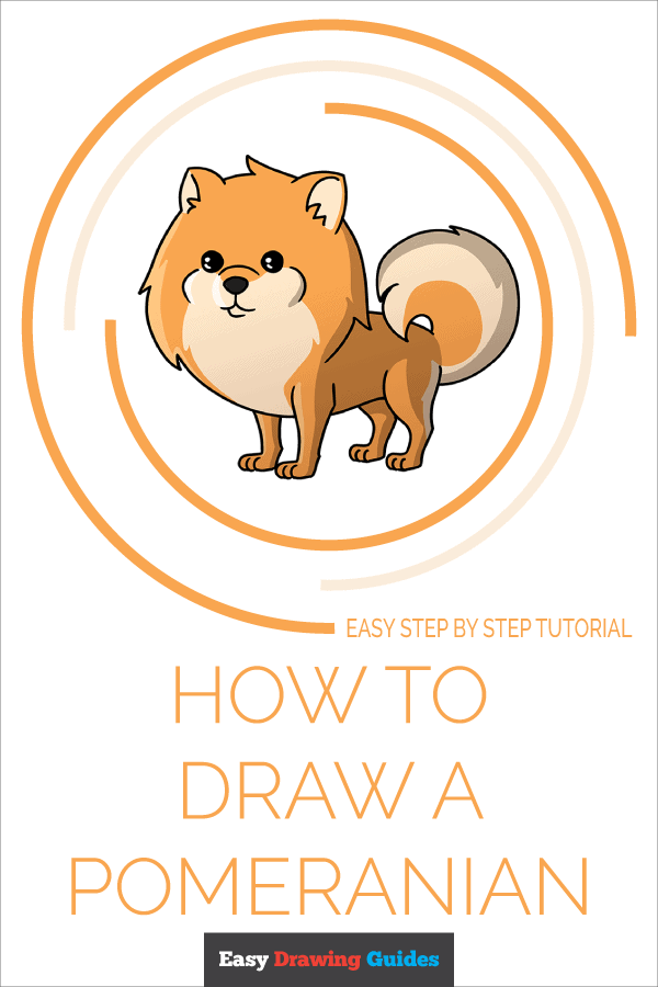 How To Draw Pomeranian Puppies