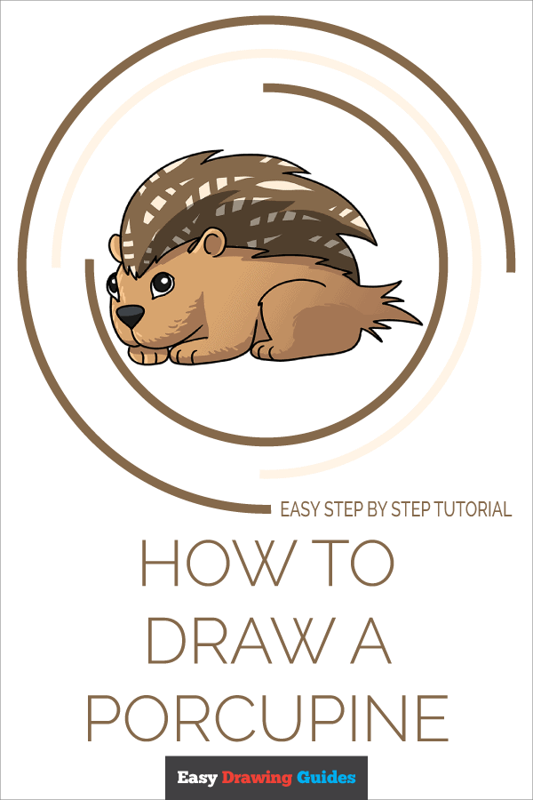 How to Draw a Porcupine - Really Easy Drawing Tutorial