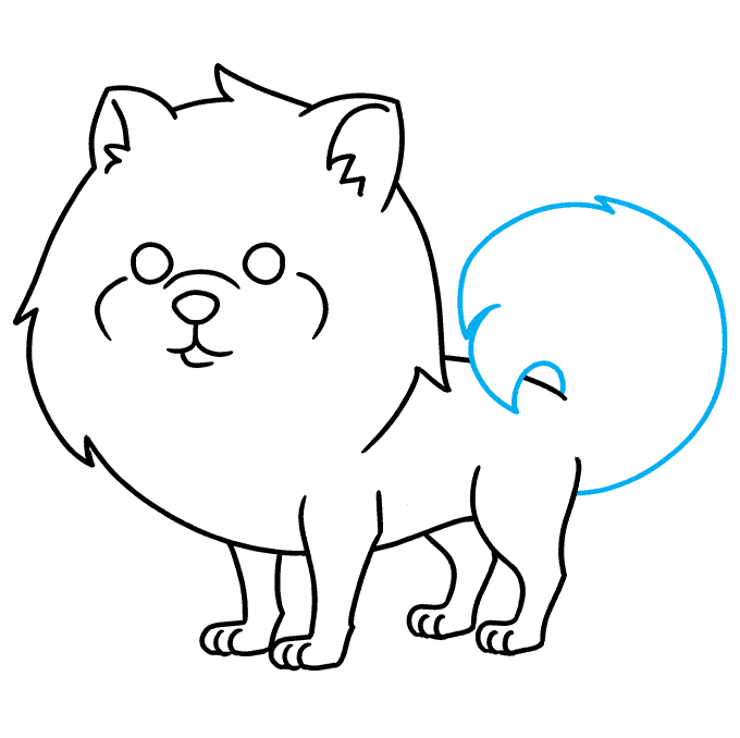 How To Draw A Mini Pomeranian At Ryan Fitzsimons Blog