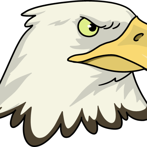 How to Draw an Eagle Head Featured Image