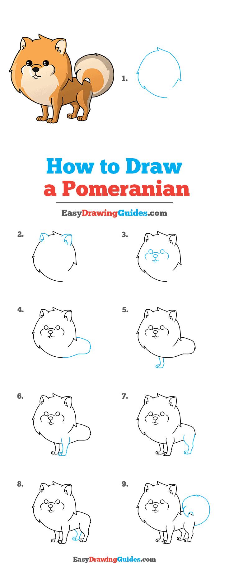 How To Draw A Pomeranian Really Easy Drawing Tutorial