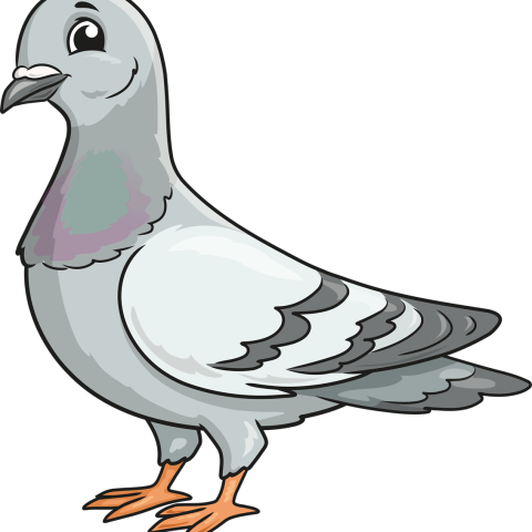 How to Draw a Pigeon Featured Image