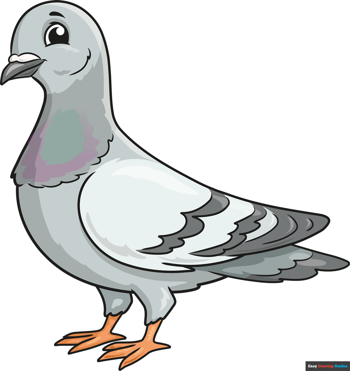 How to Draw a Pigeon Featured Image