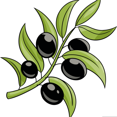 How to Draw an Olive Branch Featured Image