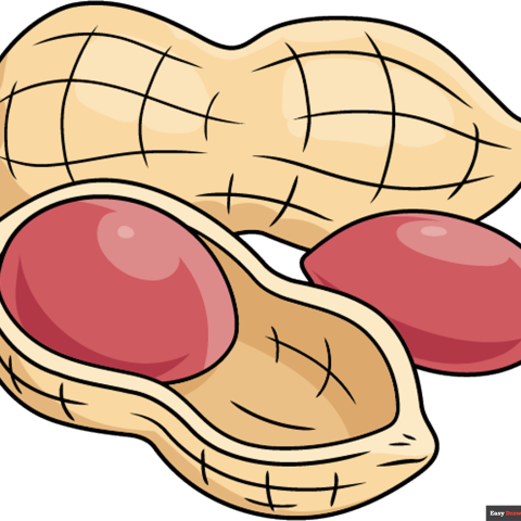 How to Draw a Peanut Featured Image