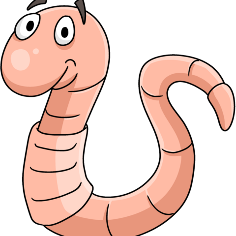 How to Draw a Worm Featured Image