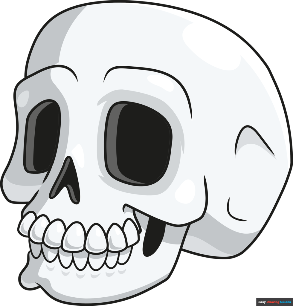 Skull cartoon skeleton head drawing on white Vector Image