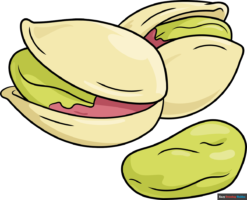 How to Draw Pistachios