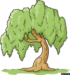 How to Draw a Willow Tree Featured Image