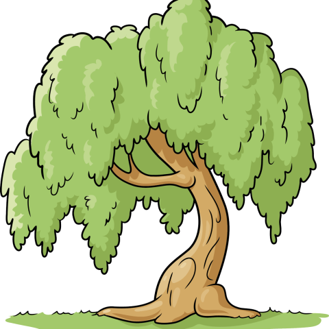 How to Draw a Willow Tree Featured Image