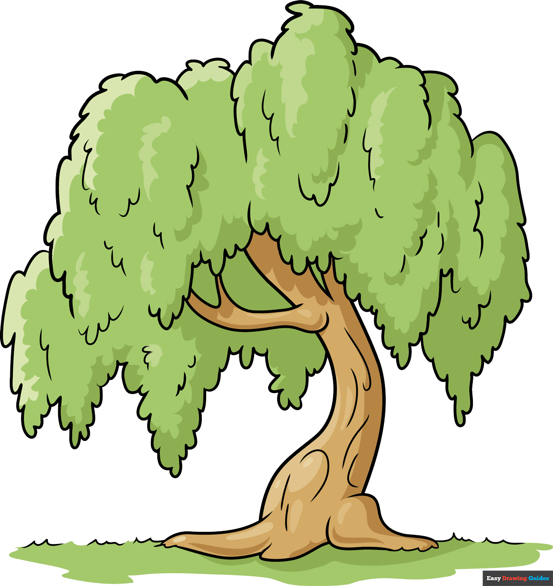 Willow Tree With Roots Drawing WILLOW Willow Tree With Roots Drawing WILLOW