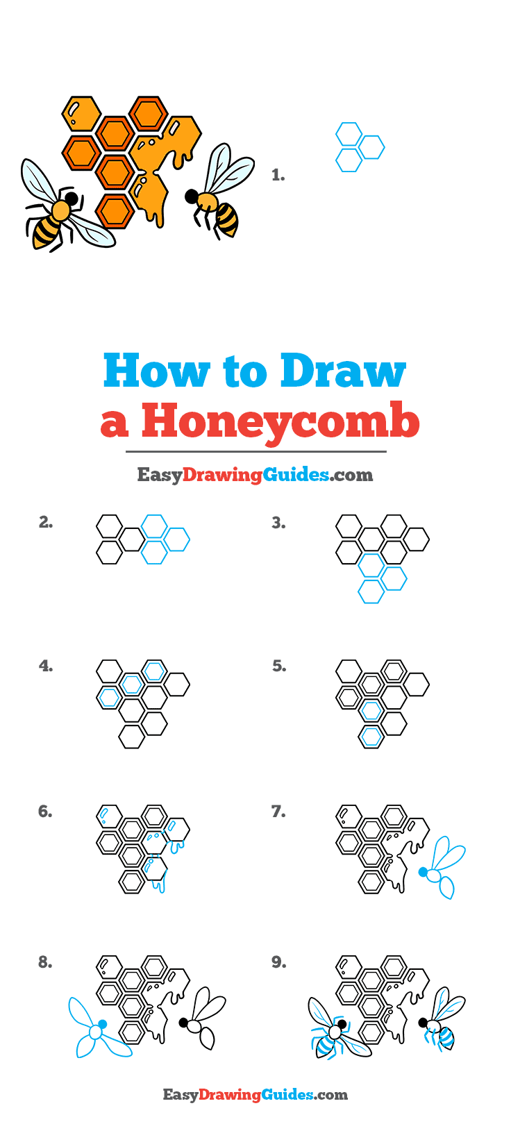 How to Draw a Honeycomb Step by Step Tutorial Image