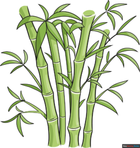 How to Draw Bamboo Featured Image