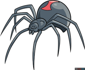 How to Draw a Black Widow Spider Featured Image