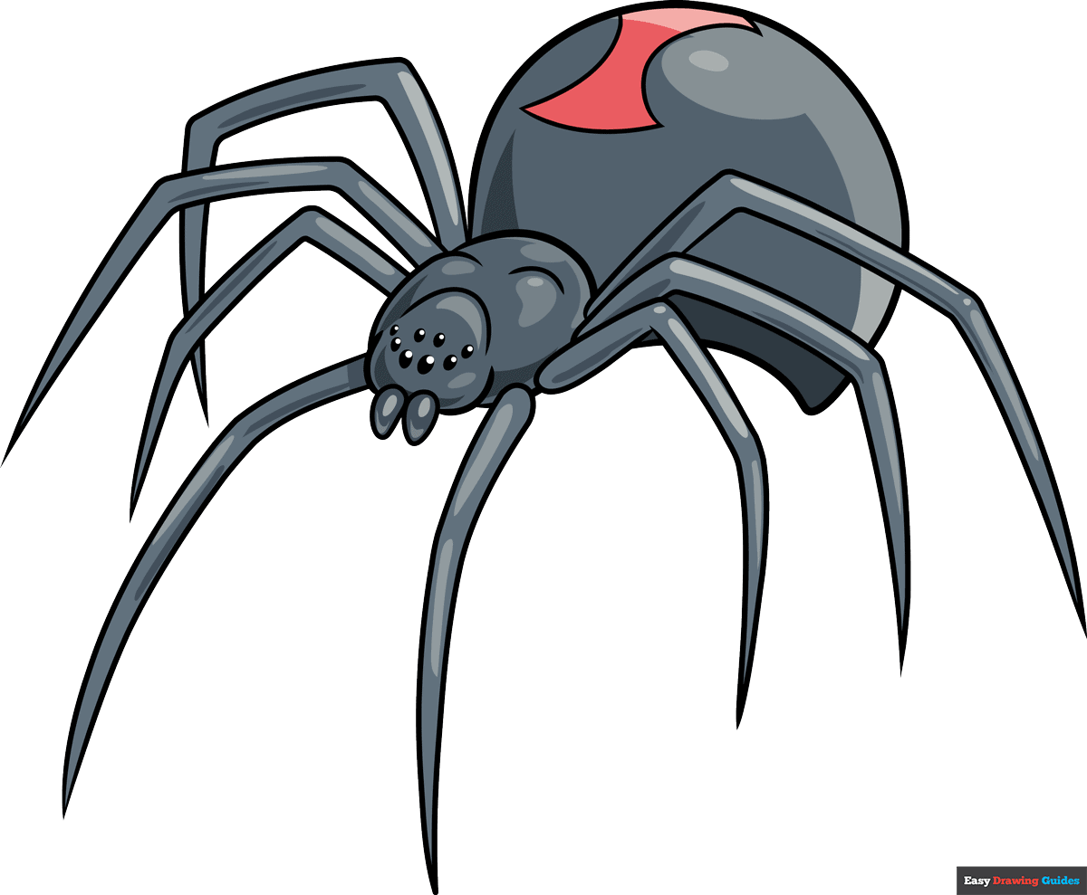 How To Draw A Black Widow