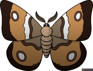 How to Draw a Moth Featured Image